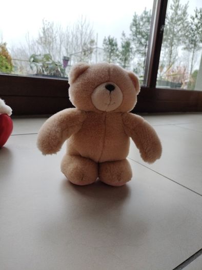 Teddy