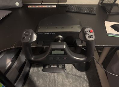 flight sim