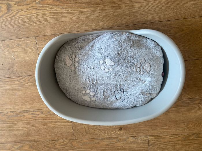dog bed