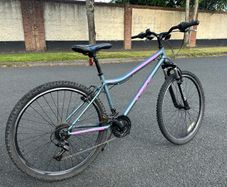 Apollo Aspire Mountain Bike