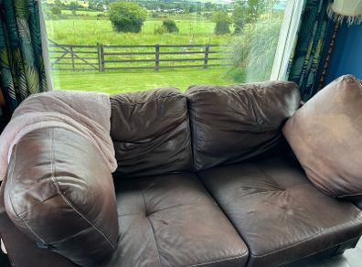 sofa bed