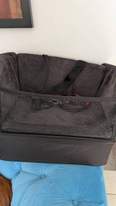 dog car seat