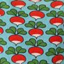 DUNS Sweden organic adult short sleeve radish dress Image 3