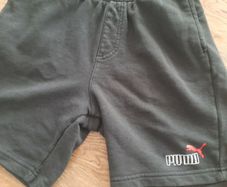 Puma Shorts