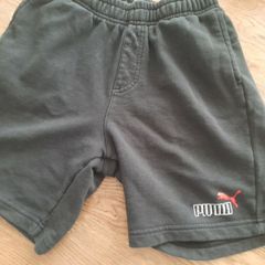 Puma Shorts