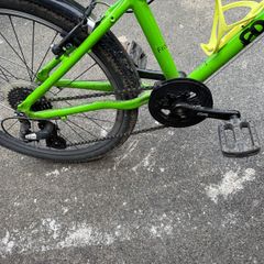 Frog 62 bike