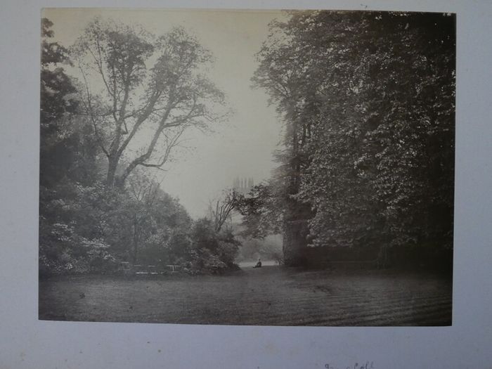 Victorian Photograph Album Photo Card Album  Antique Cabinet Card Photographs Photos 21 Page 42 Photos