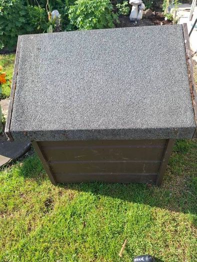 dog house