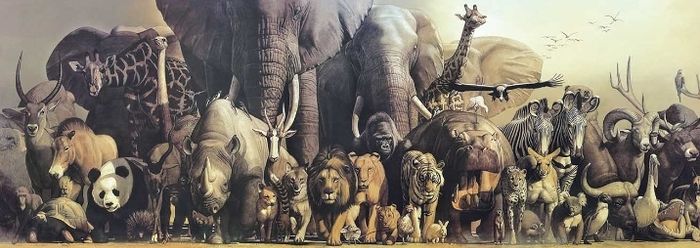 Haruo Takino art panorama jigsaw puzzle Noah's Ark / Earth for Animals 33x95cm approx