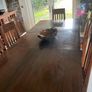 wooden dinner table Image 4