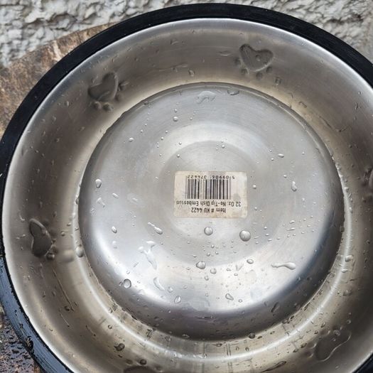 large dog bowl