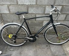 Giant hybrid bike