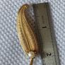 Vintage D or brooch Image 4