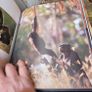 wildlife book Image 5