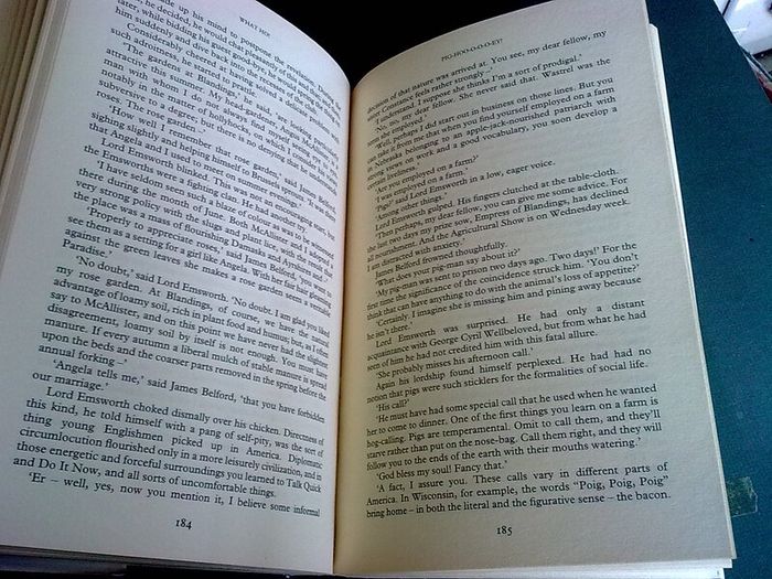 What Ho! The best of P. G. Wodehouse introduced by Stephen Fry