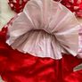 Disney Minnie Mouse Red & White Polka Dot Costume / Halloween Dress Image 4
