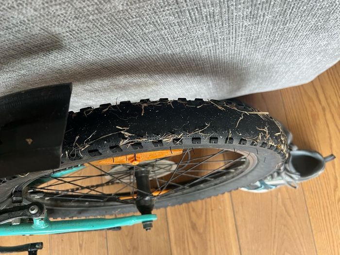 Trek Bike 20 inch