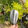 Regal "Wild Thing" 64 Degree Wedge Image 3