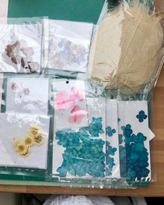 Dried Flowers and Tweezers