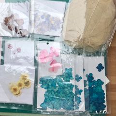 Dried Flowers and Tweezers