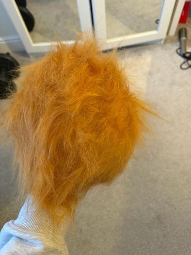 Donald Trump Mask