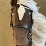 Hobby horses Image 7