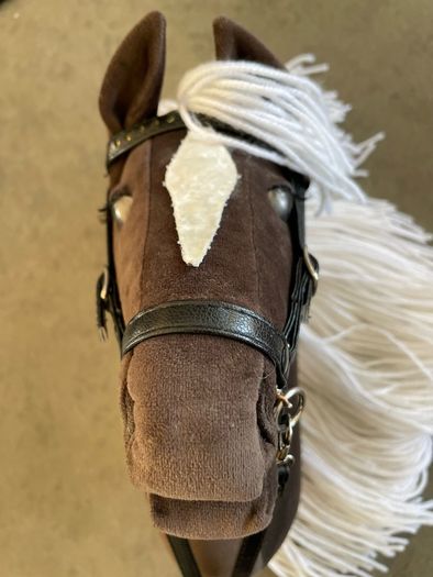 Hobby horses