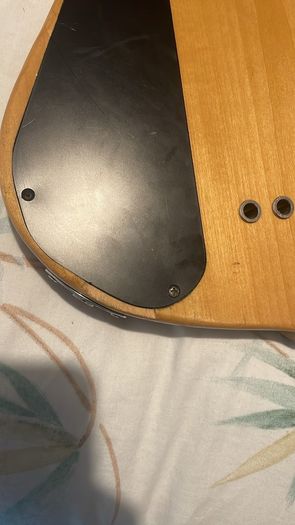 traben Array limited edition bass with case
