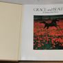 Grace And Beauty A Study Of The Horse Gabrielle Boiselle Large Hardback Book VGC Image 9