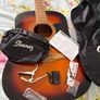 Ibanez Acoustic Guitar Image 2