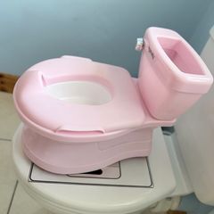 Training potty