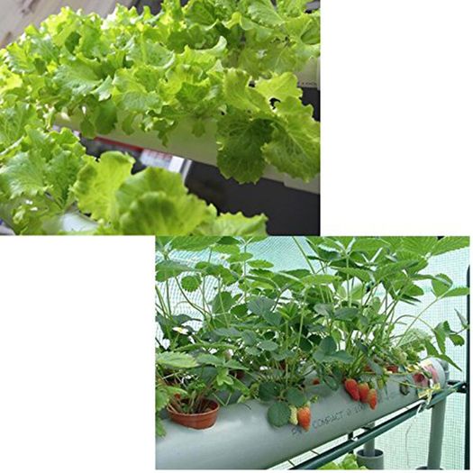 B-36 holes Hydroponic Piping Site Grow Kit Deep Water Culture Planting Box Gardening System Nursery Pot Hydroponic Rack 220V