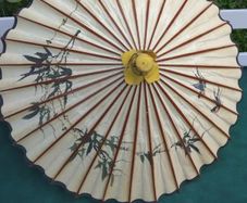 Chinese vintage parosol