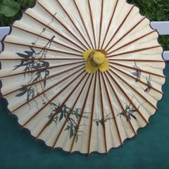 Chinese vintage parosol