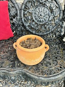 plant pot