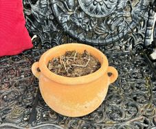 plant pot