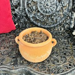 plant pot