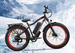 Free Delivery - New Fat Tyre Electric Bike 750w
