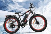Free Delivery - New Fat Tyre Electric Bike 750w