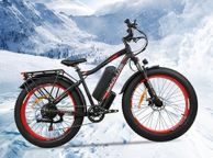 main image for ad Free Delivery - New Fat Tyre Electric Bike 750w