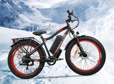 Free Delivery - New Fat Tyre Electric Bike 750w