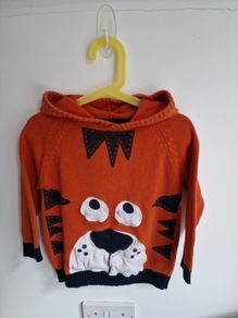 Boys 4-5yrs BLUEZOO 100% cotton hooded jumper