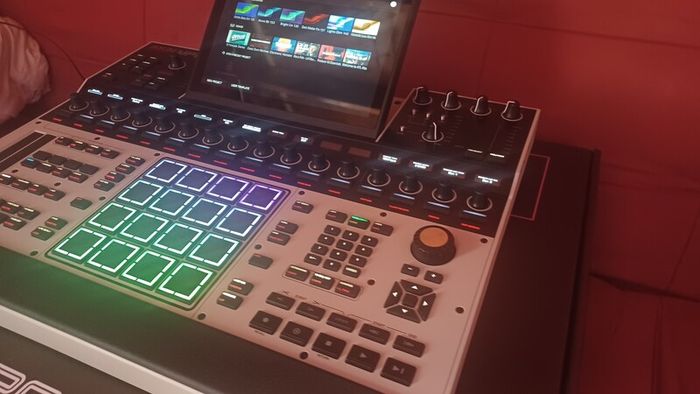MPC XL 6 weeks old