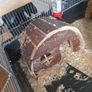 Hamster cage + full hamster kit Image 7