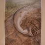 Pauline Bewick  - The Irish Salmon Image 6