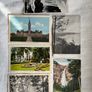Vintage Canadian postcards x 10 - Canada Steam Power Threshers x 3, + 6 others Image 2