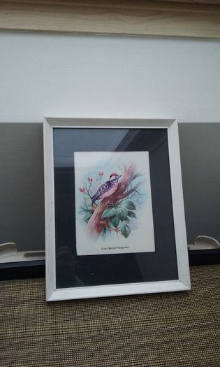 Wall Picture - Woodpecker