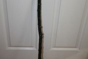 Walking stick