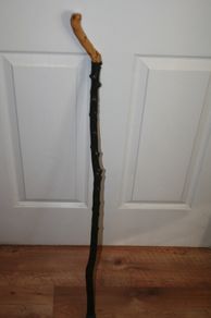 Walking stick