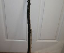 Walking stick
